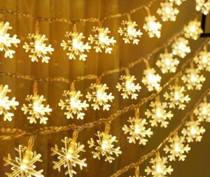 Plastic Decorative Snowflake 25 Led String Led Lights For Diwali Christmas Wedding Warm White, 4 Meters