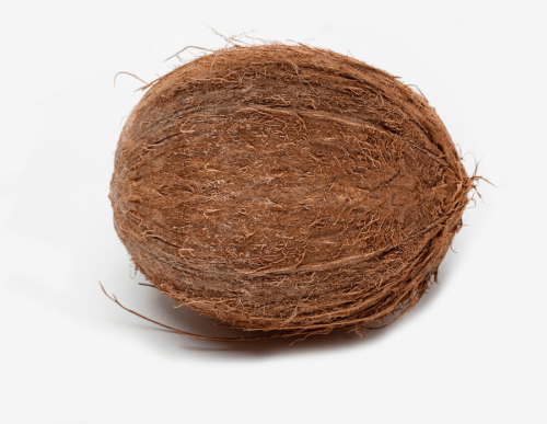 Brown Coconut (Nariyal