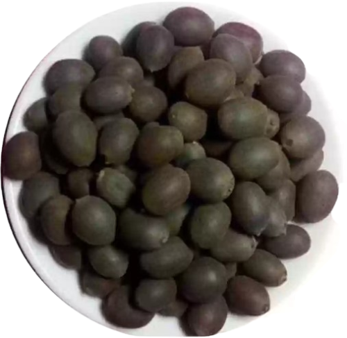 Kamal Gatta Kamal Seeds