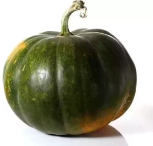 Green Pumpkin (Hara Kaddu)