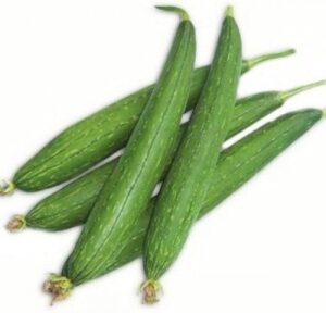 Sponge Gourd (Tori)