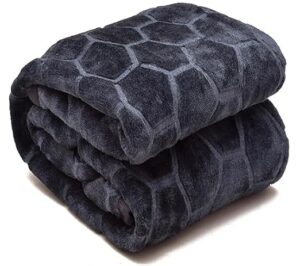 Double Bed Mink Blanket King Size Heavy Winter